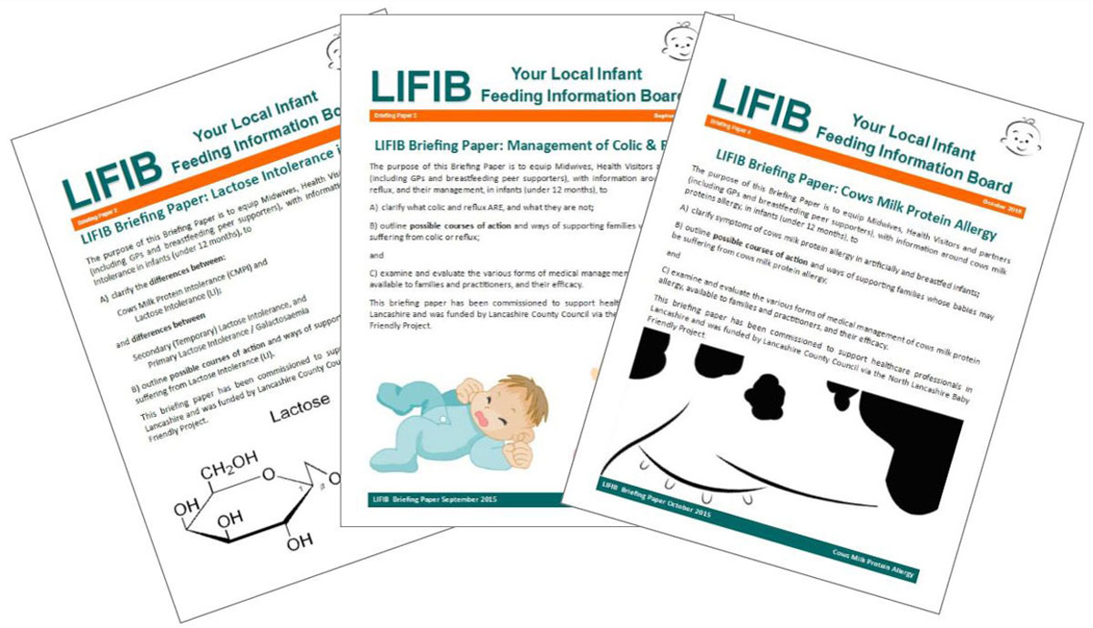 LIFIB Briefing papers